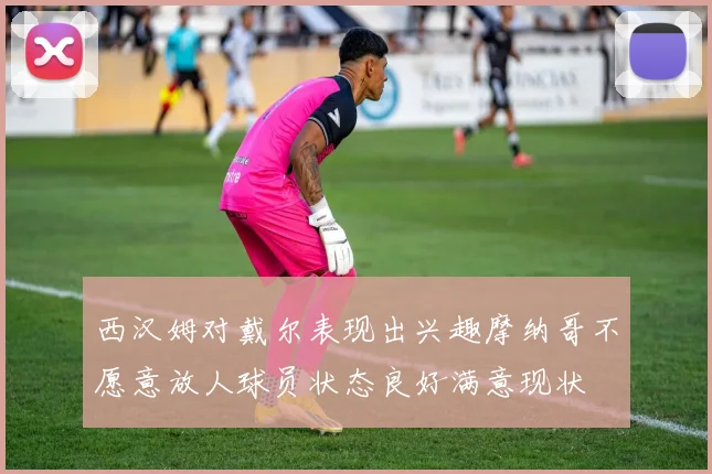 西汉姆对戴尔表现出兴趣摩纳哥不愿意放人球员状态良好满意现状